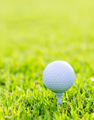 Golf ball on green grass