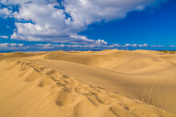 Obraz na płótnie Canvas Maspalomas dunes