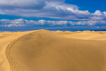 Obraz na płótnie Canvas Maspalomas dunes