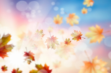 Obraz na płótnie Canvas Autumn background