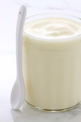 plain french style yogurt