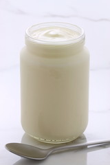 plain french style yogurt
