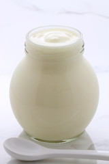 plain french style yogurt
