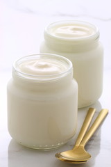 vintage  french style yogurt