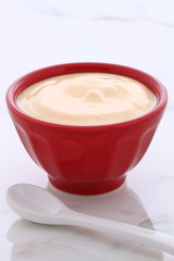 plain french style yogurt