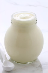 plain french style yogurt
