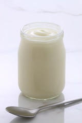 plain french style yogurt