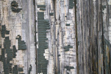 Old wooden fence with paint