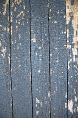 Naklejka premium Old wooden fence with paint