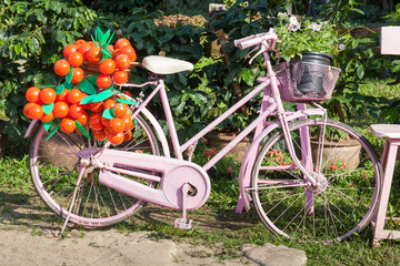 Fototapeta na wymiar an old pink bike standing on the street