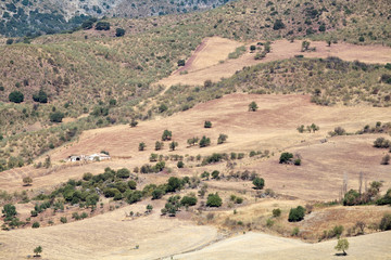 Fototapeta na wymiar fields and hills in Andalucia