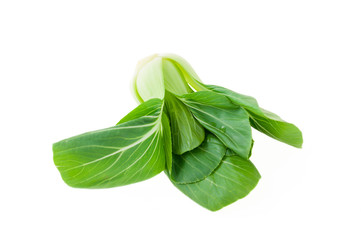 bok choy (chinese cabbage) isolated on white background