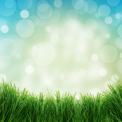 Fototapeta na wymiar green grass isolated on white background