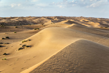 Fototapeta na wymiar Pustynia Wahiba Oman