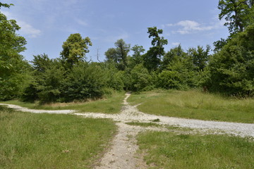 Croisement de chemins