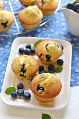 Blueberry muffins on a white plate