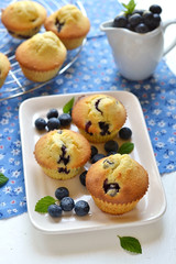 Blueberry muffins on a white plate