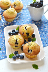 Blueberry muffins on a white plate
