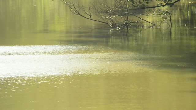 Teich mit Sonnenreflektion