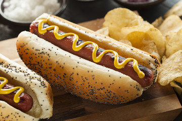 Gourmet Grilled All Beef Hots Dogs