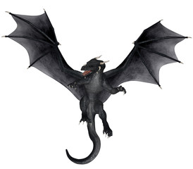 Obraz premium Fantasy Dragon