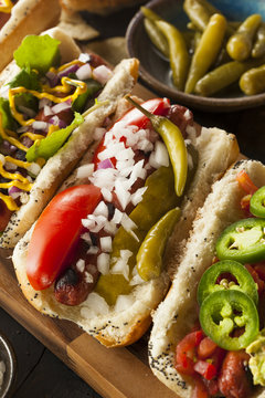 Gourmet Grilled All Beef Hots Dogs