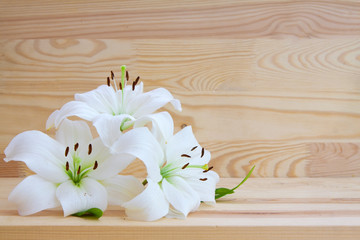 White lily isolated . 
