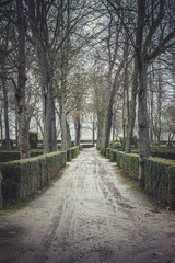 Fototapeta na wymiar beautiful gardens Palace of Aranjuez, Madrid, Spain