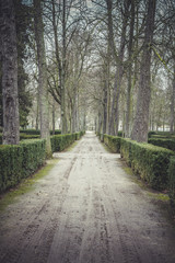 beautiful gardens Palace of Aranjuez, Madrid, Spain