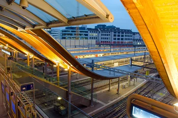 Schapenvacht deken met foto Treinstation treinstation van Bern