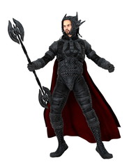 Fototapeta premium 騎士