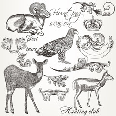 Collection of vector hand drawn animals and flourishes in vintag