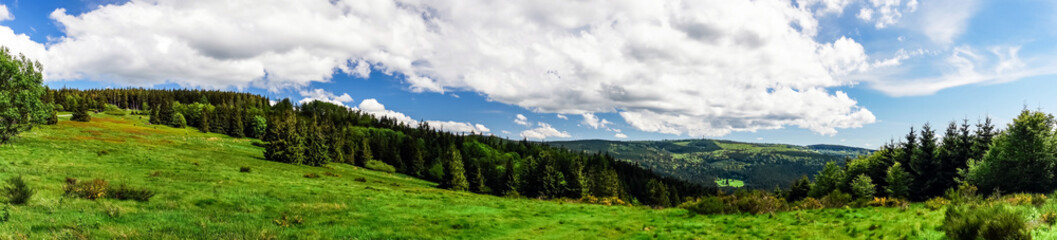 Rural summer time panorama