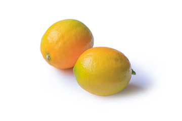 Lemon on white