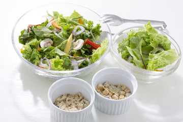 フレッシュサラダ