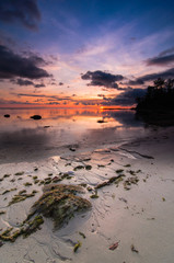 Tips of borneo sunset with stone vertical view