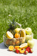 フルーツバスケット