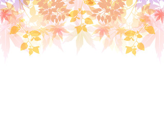 もみじ　紅葉　背景