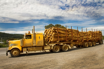 Yellow Truck shipping Wood on Canada road.