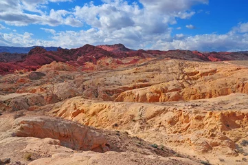 Poster Red Rock Landscape, Southwest USA © nyker