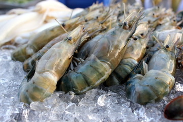 Many Black tiger prawn