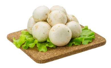 Raw Champignons