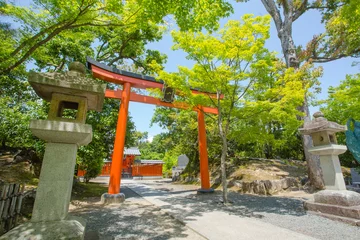 Gordijnen ingang van het heiligdom, Japanse heiligdompoort Kyoto, Japan, 16 mei 2014 © akeeris