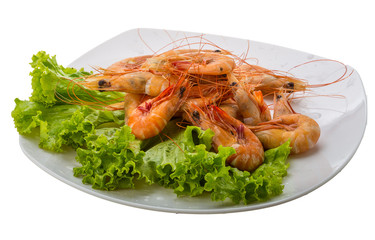Big tiger shrimps