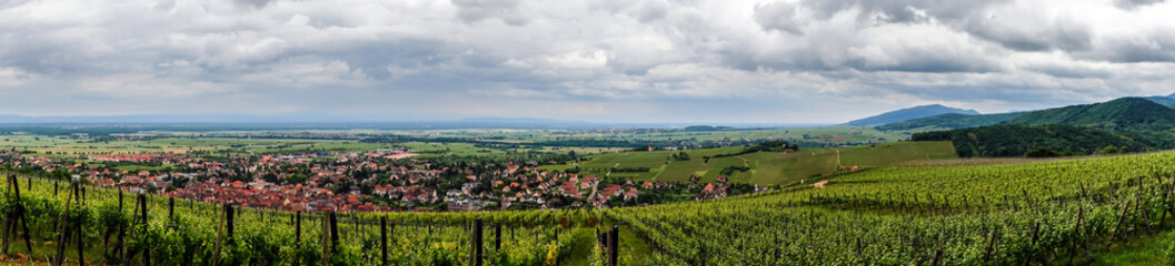 Fototapeta na wymiar Alsace view from the top of hill