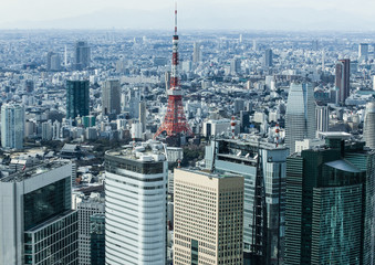 Fototapeta na wymiar Biurowce Tokyo Tower Sorat