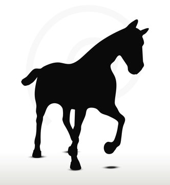 horse silhouette in Loping position