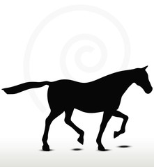 horse silhouette in Loping position