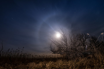 Chasing the moon - night full moon landscape - 66174113