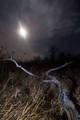 Full moon halo rays - night full moon landscape - 66174160